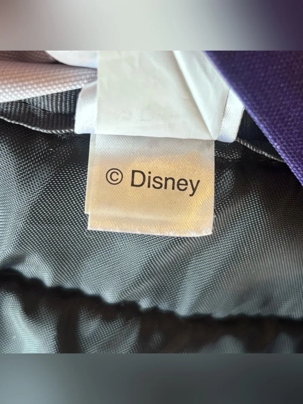 Disney JanSport High Stakes Mickey Mouse Space Walk Backpack Rare Collectible